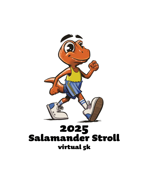 Salamander Stroll